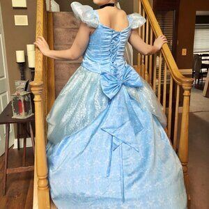 Cinderella Cosplay Dress